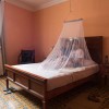 Lifesystems Micronet Double Mosquito Net