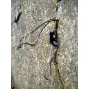 black-diamond-rurp.webp