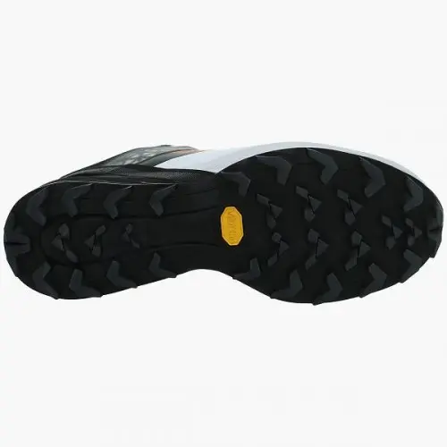 dynafit-alpine-dna-black-out-suela-500x500.webp