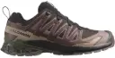 SALOMON XA PRO 3D v9 GTX