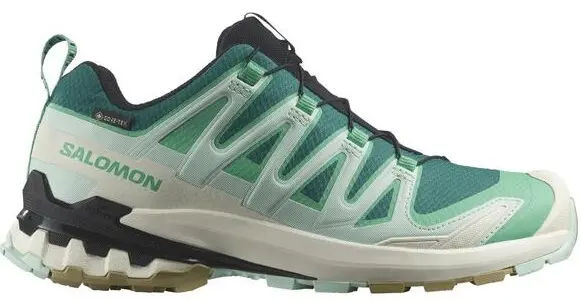 SALOMON XA PRO 3D v9 GTX DONA