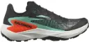SALOMON GENESIS