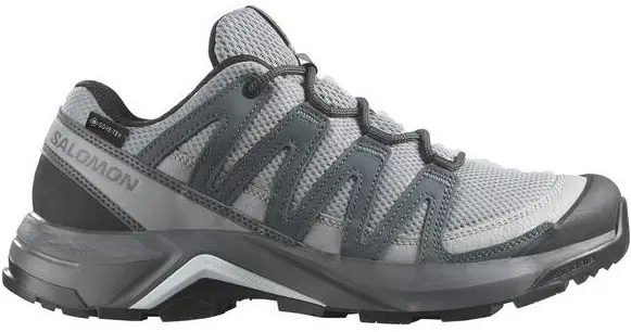 SALOMON X ADVENTURE RECON GTX DONA