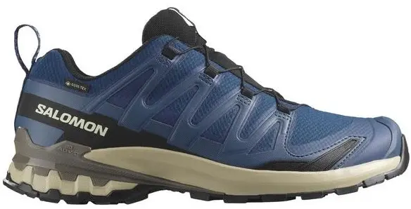 SALOMON XA PRO 3D v9 GTX