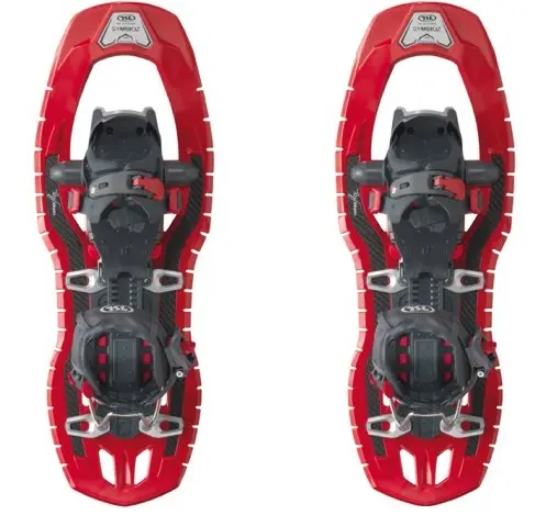 TSL RAQUETES DE NEU SYMBIOZ ELITE
