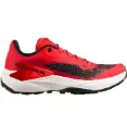 SALOMON GENESIS