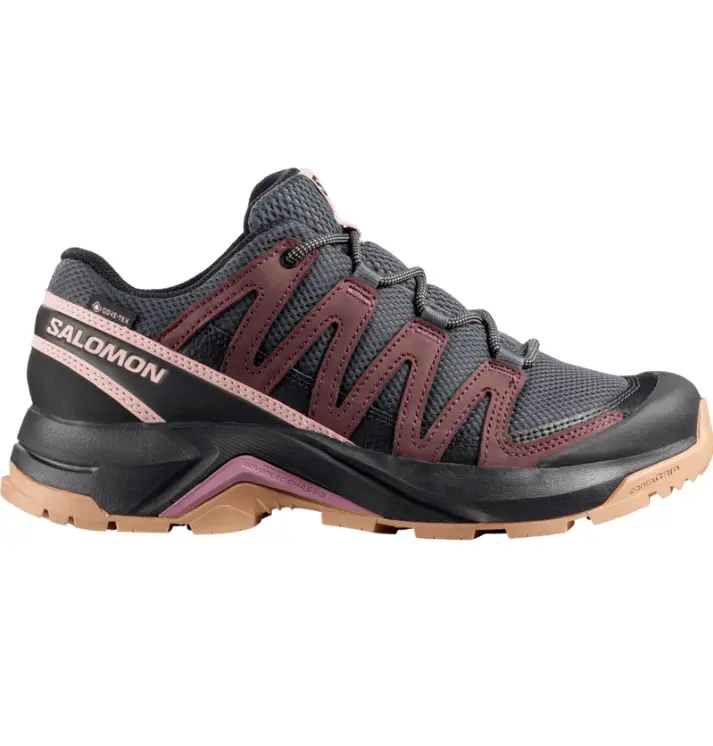 SALOMON X ADVENTURE RECON GTX W