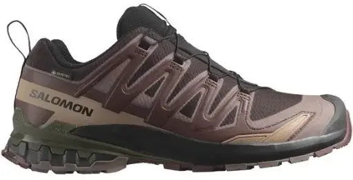 SALOMON XA PRO 3D v9 GTX