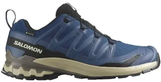 SALOMON XA PRO 3D v9 GTX