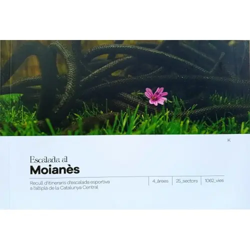 [MOI11817] ESCALADA AL MOIANES