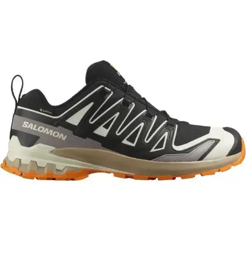 SALOMON XA PRO 3D v9 GTX