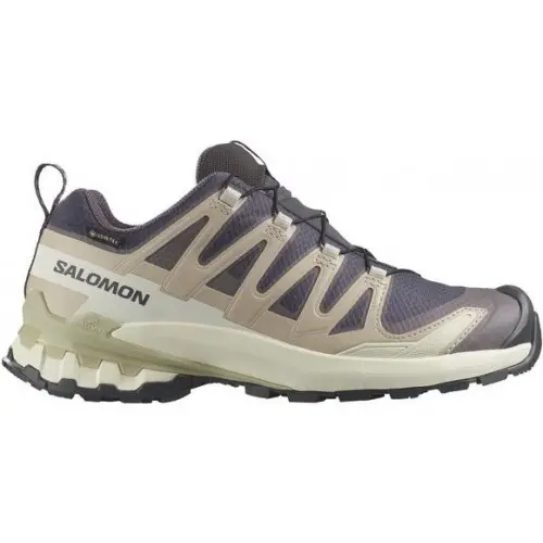 SALOMON XA PRO 3D v9 GTX DONA